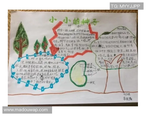 91麻豆种子-探索91麻豆种子的奥秘-探索91麻豆种子的奥秘